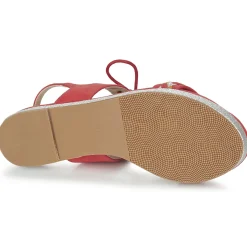 Best Moony Mood - GLOBUNE Rose