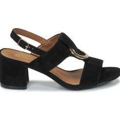 Online Moony Mood - MANY noir