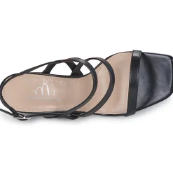 Clearance Moony Mood - PELINA Noir