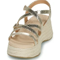 New MTNG - 59897 Doré