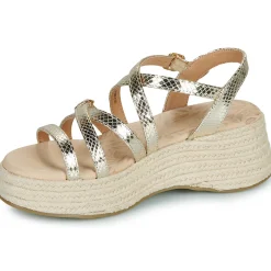 New MTNG - 59897 Doré