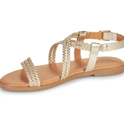 Sale MTNG - 54488 Doré