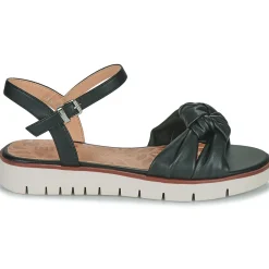 Hot MTNG - 53368 Noir