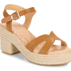 Hot MTNG - 51730 Marron