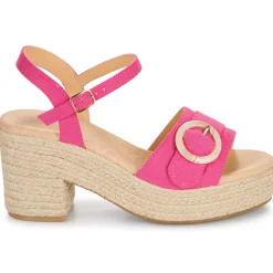 Hot MTNG - 59607 Rose