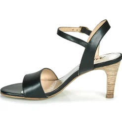 New Myma - POLIDOME Noir