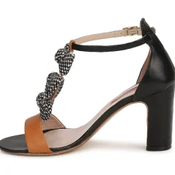 Online MySuelly - CAPO