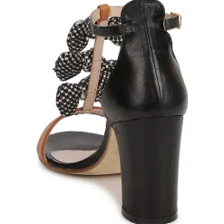 Online MySuelly - CAPO