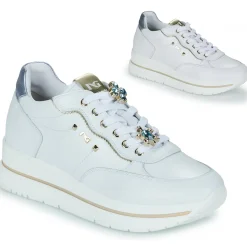 Discount NeroGiardini - E512907D