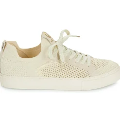 Online No Name - ARCADE FLY W