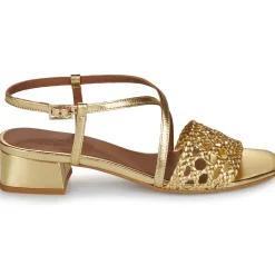 New Otess / Zoï - Z1670-LAMI-GOLD-TRESSE-GOLD Doré