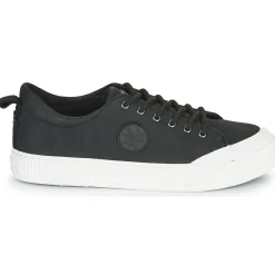 Best Palladium - STUDIO 02 Noir