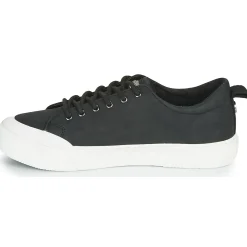 Best Palladium - STUDIO 02 Noir