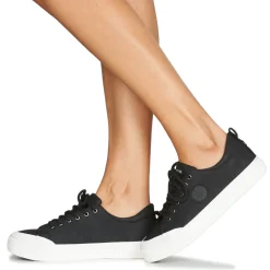 Best Palladium - STUDIO 02 Noir