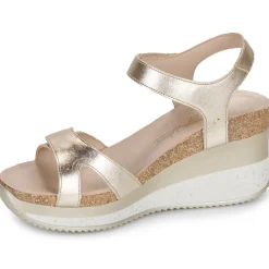 Discount Panama Jack - NICA SPORT Doré