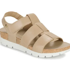 Sale Panama Jack - SAMMY B4 Taupe