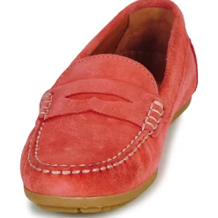 Best Pellet - CADORNA Velourscorail