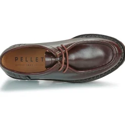 Hot Pellet - MACHA VEAUPULLUPCYPRES