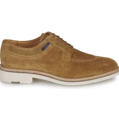 Hot Pellet - VANESSA VELOURSTAN