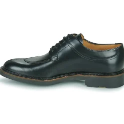 Clearance Pellet - VANESSA Veaupolidonoir