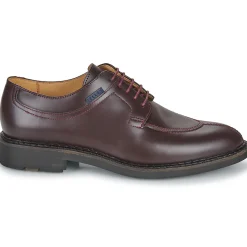 New Pellet - VANESSA Veaupolidovino