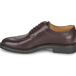 New Pellet - VANESSA Veaupolidovino