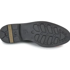 New Pellet - VANESSA Veaupolidovino