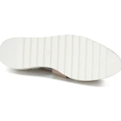 Best Philippe Morvan - KOX Rose