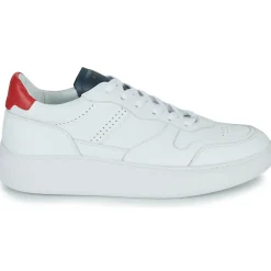 Clearance Piola - CAYMA