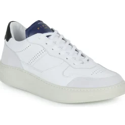 Online Piola - CAYMA