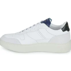 Online Piola - CAYMA