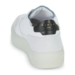 Online Piola - CAYMA