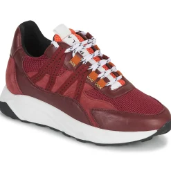 Online Piola - ICA Bordeaux