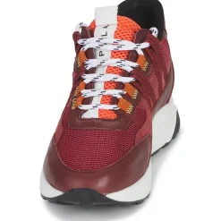 Online Piola - ICA Bordeaux