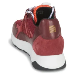 Online Piola - ICA Bordeaux