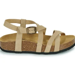 Best Plakton - CP NEMO Beige