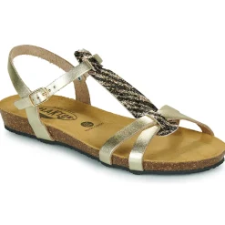 Online Plakton - FRAN COCO Doré