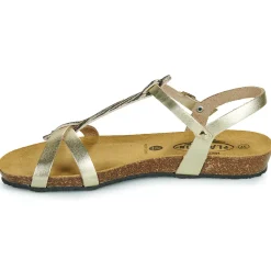 Online Plakton - FRAN COCO Doré