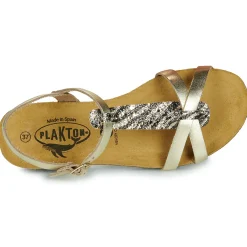 Online Plakton - FRAN COCO Doré