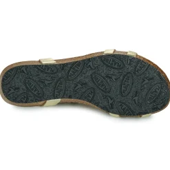 Online Plakton - FRAN COCO Doré