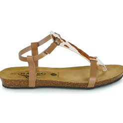 Clearance Plakton - FRAN ZOUK Cognac