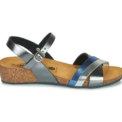 Clearance Plakton - NORTE