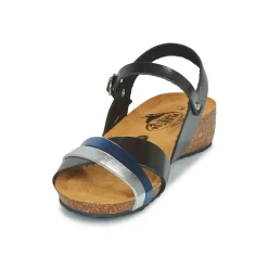 Clearance Plakton - NORTE