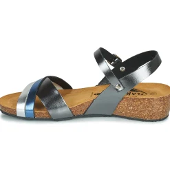 Clearance Plakton - NORTE