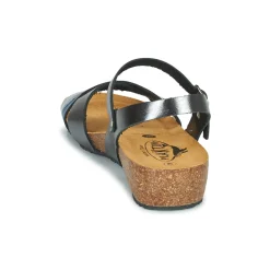 Clearance Plakton - NORTE