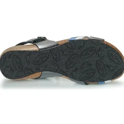 Clearance Plakton - NORTE