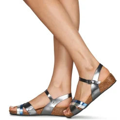 Clearance Plakton - NORTE