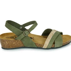 Online Plakton - NORTE