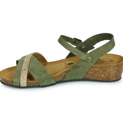 Online Plakton - NORTE