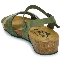 Online Plakton - NORTE